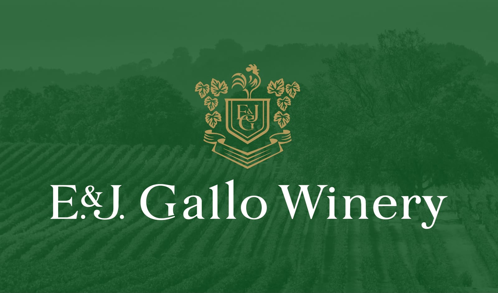 EJ Gallo consumer insights presentation